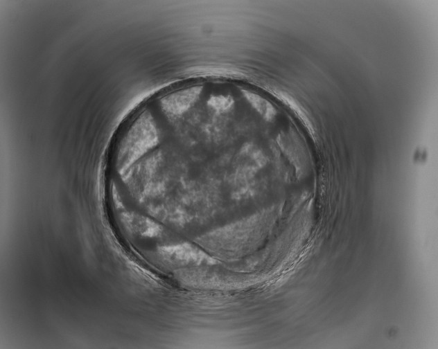 X0000099570983200806061559