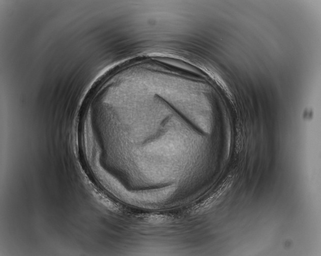 X0000099570984200806061559