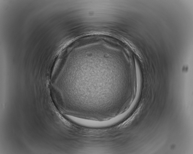 X0000099570985200806061559