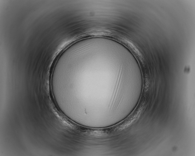 X0000099570986200806061559