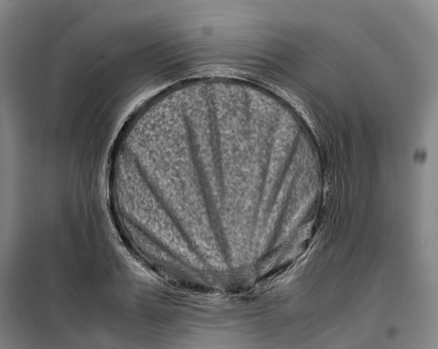 X0000099570987200806061558