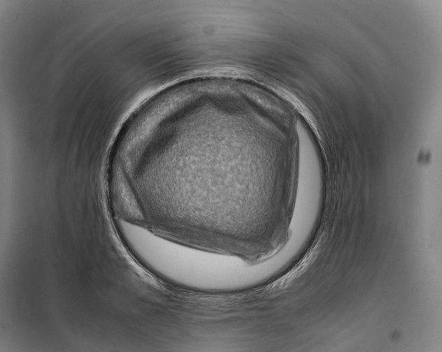 X0000099570989200806061558