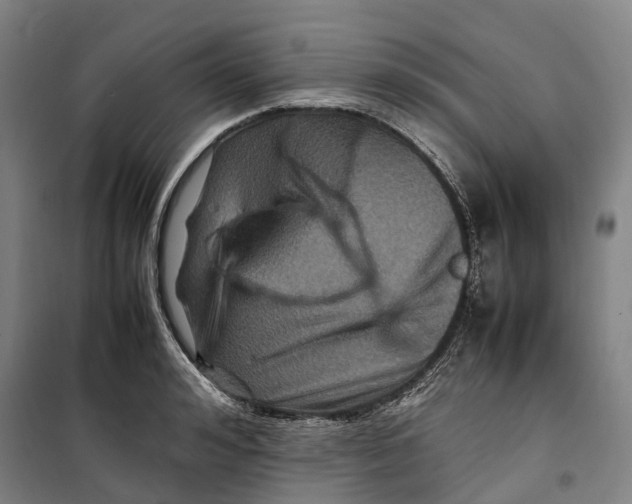 X0000099570992200806061558