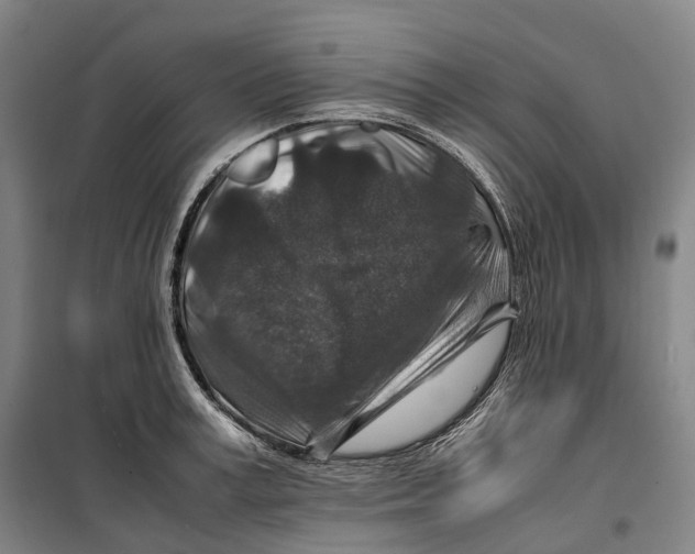 X0000099570995200806061558