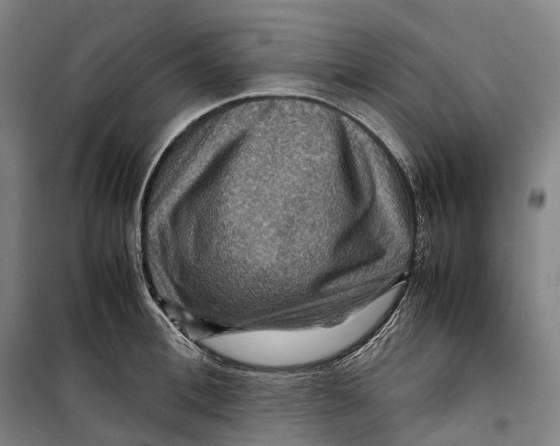 X0000099570996200806061558