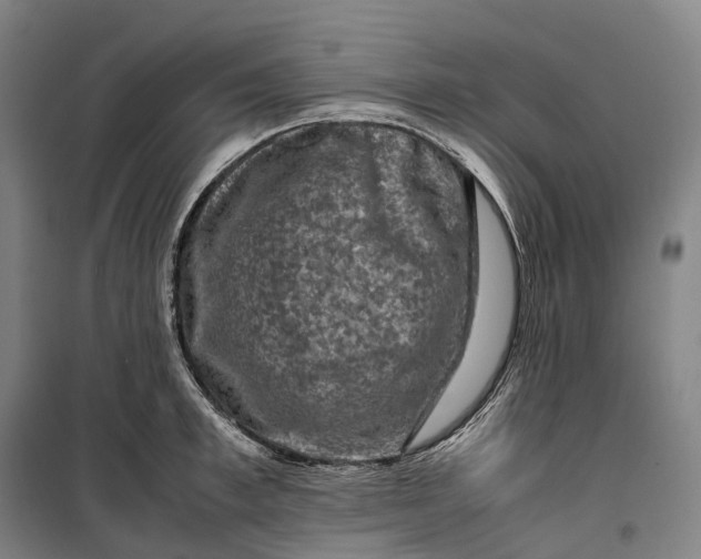 X0000099570997200806061558