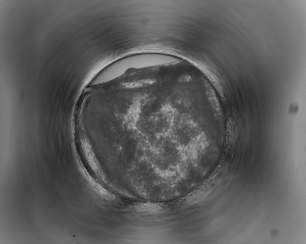 X0000099570998200806061558