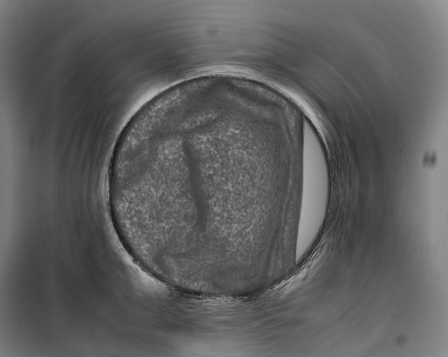 X0000099570999200806061558
