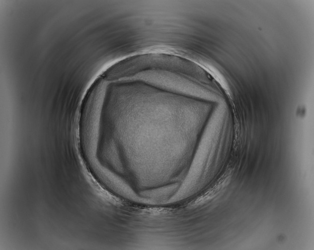 X0000099571000200806061558