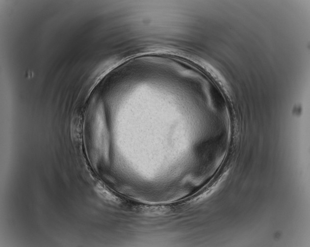 X0000099571001200806061558