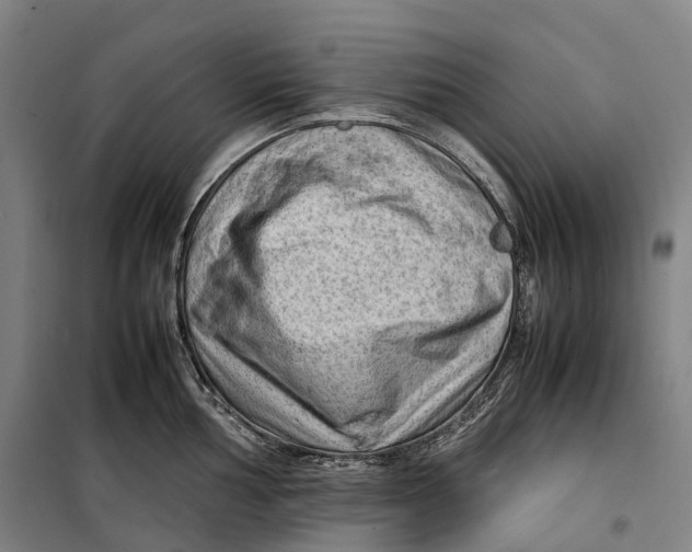 X0000099571002200806061558