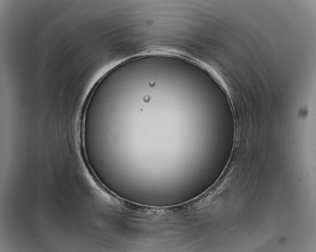 X0000099571003200806061558