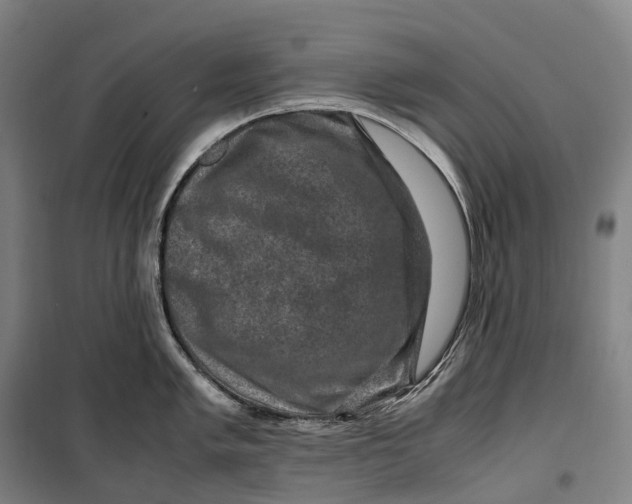 X0000099571005200806061558
