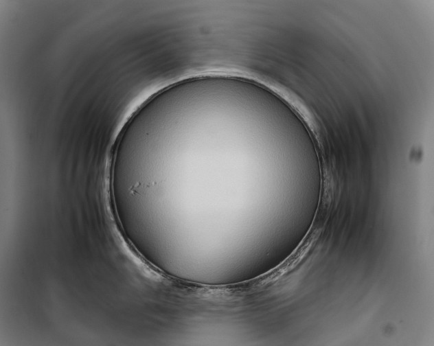 X0000099571006200806061558
