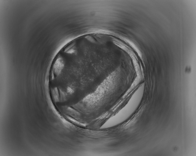 X0000099571007200806061558