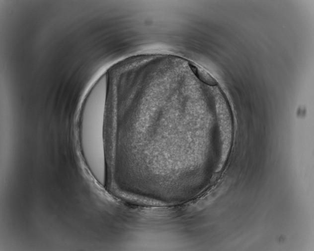 X0000099571008200806061558