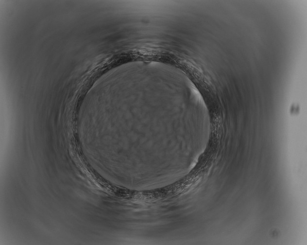 X0000099571009200806061558