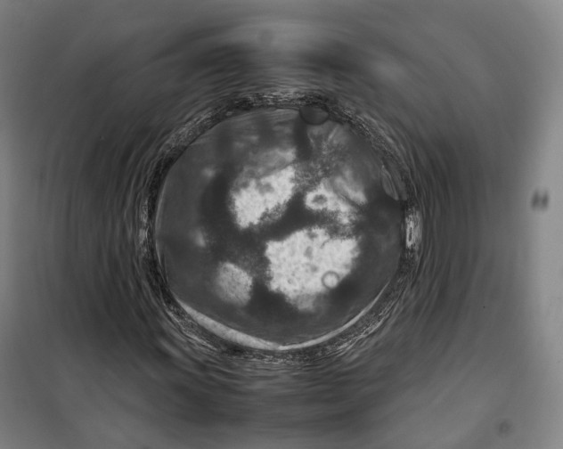 X0000099571011200806061558
