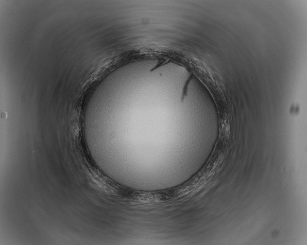 X0000099571012200806061558