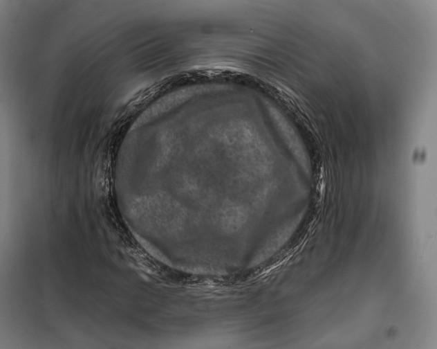 X0000099571014200806061558