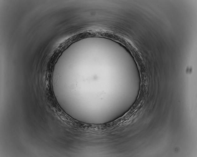 X0000099571016200806061558