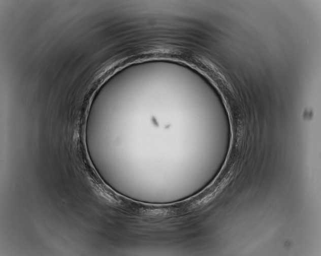 X0000099571017200806061558