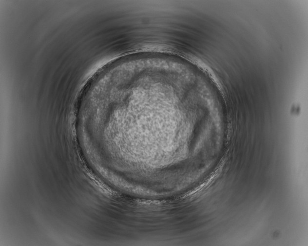X0000099571019200806061558
