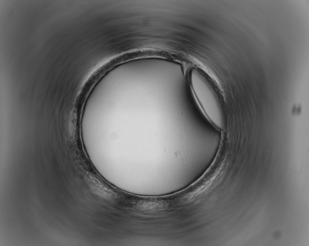 X0000099571021200806061558