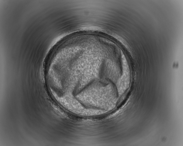 X0000099571022200806061558