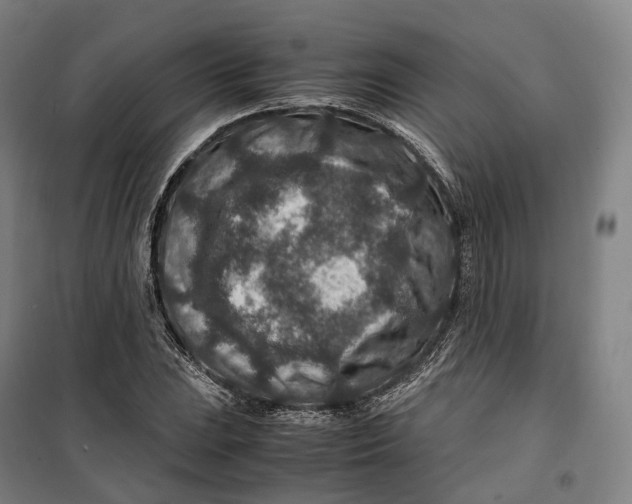 X0000099571023200806061558