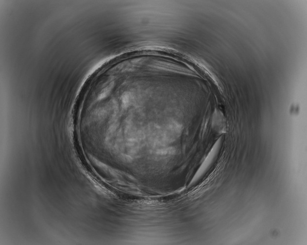 X0000099571024200806061558