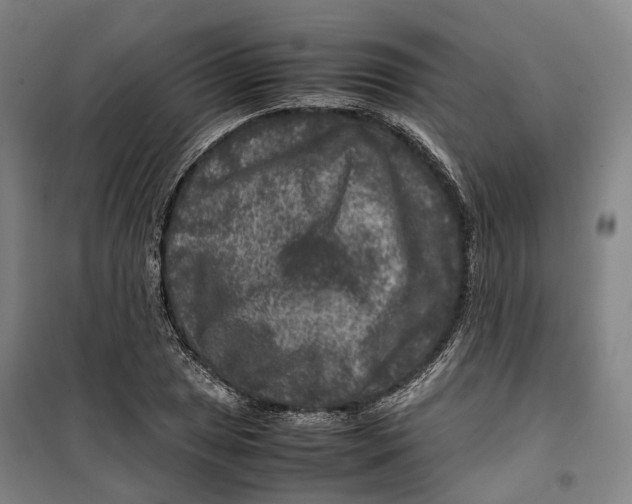 X0000099571025200806061558