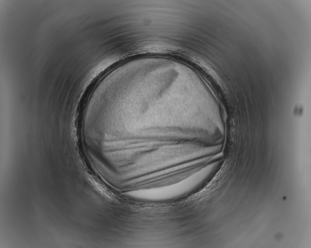 X0000099571026200806061558