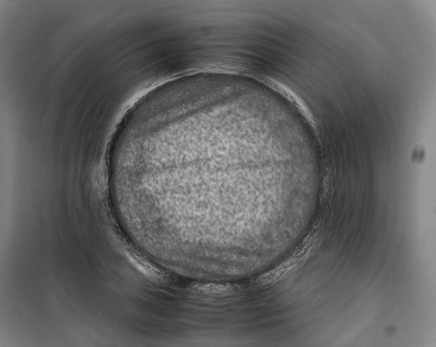 X0000099571027200806061558