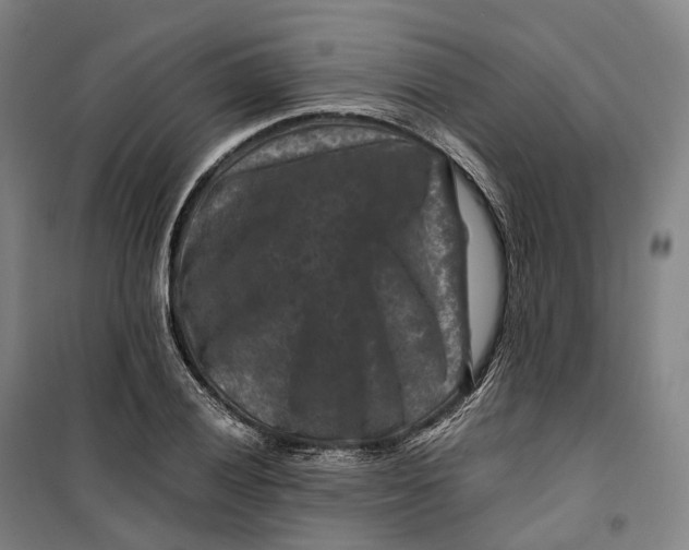 X0000099571028200806061558