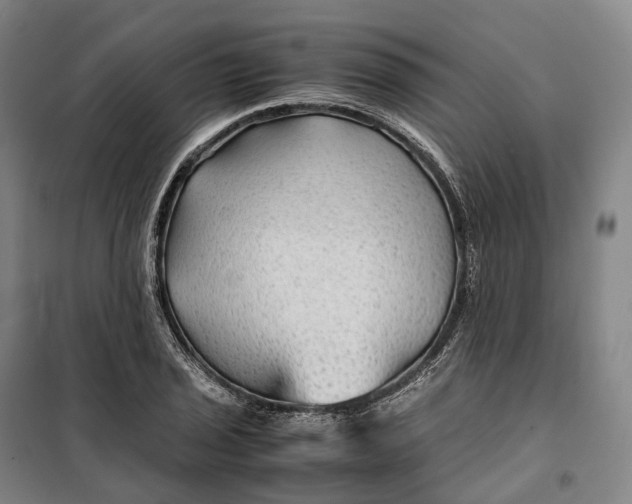 X0000099571029200806061558