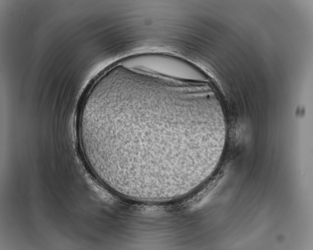 X0000099571030200806061558