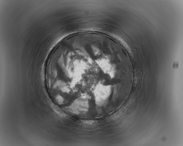 X0000099571031200806061558