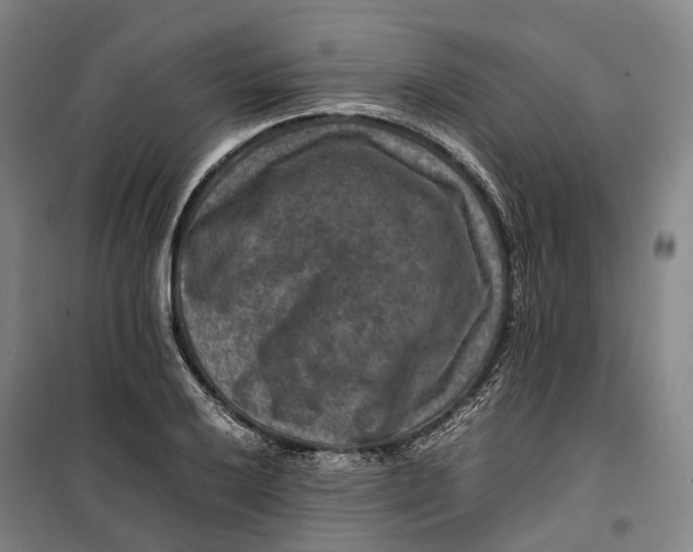 X0000099571032200806061558