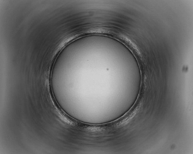 X0000099571033200806061558