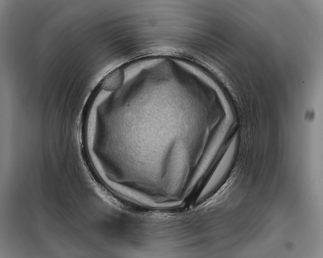 X0000099571034200806061558