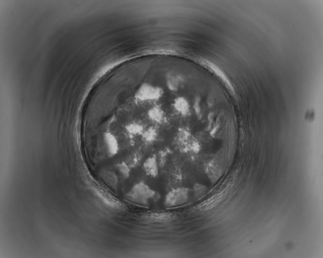 X0000099571035200806061558