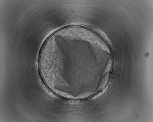X0000099571036200806061558