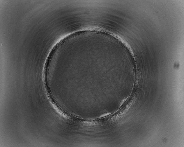X0000099571037200806061558