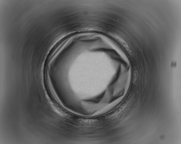 X0000099571039200806061558