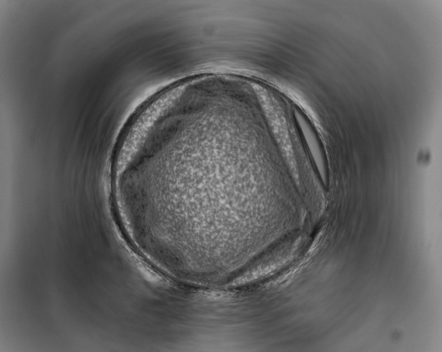 X0000099571040200806061558
