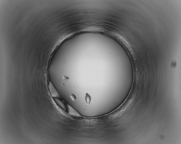 X0000099571041200806061558
