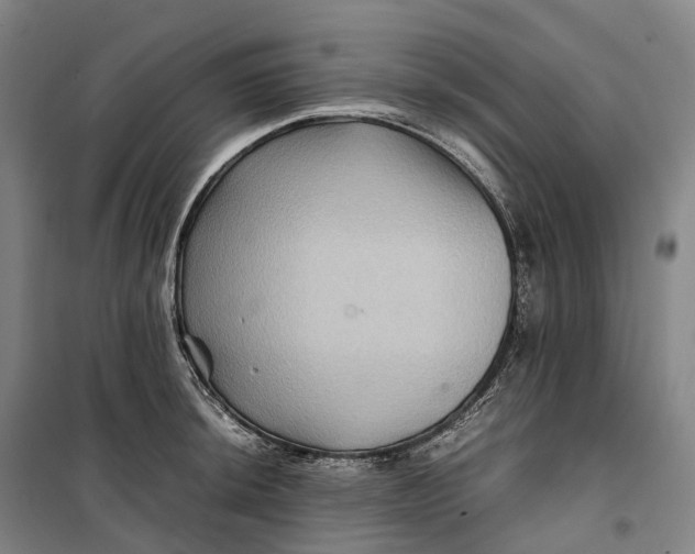 X0000099571044200806061558
