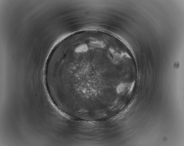 X0000099571045200806061558