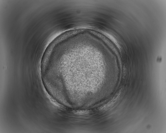 X0000099571047200806061558